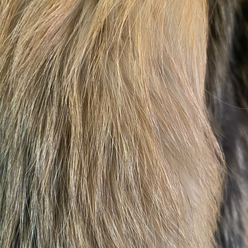 Vintage - Furs by Mannis in Beverly Hills - Full Length Canadian Cross Fox Fur - Picture 15 of 16